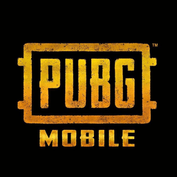 pubg圣拳直装辅助