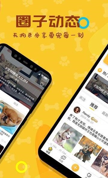 爱宠大陆APP下载截图