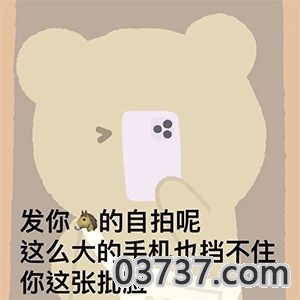 抖音暴躁小熊表情包图片完整版截图