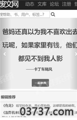 废文网站入口截图