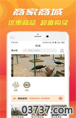 休闲合肥客户端截图