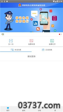 海南电子税务局截图