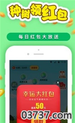 种树果园红包版截图