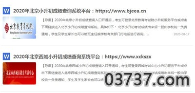 小升初成绩查询网站系统平台2020入口截图