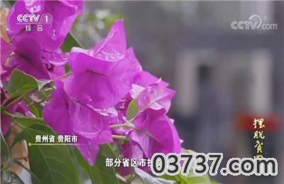 摆脱贫困纪录片观后感500字大全截图