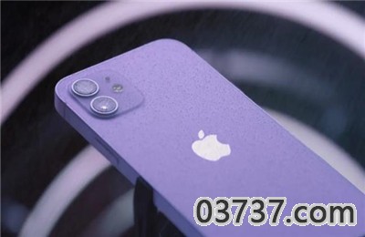 苹果iPhone12紫色预售平台截图