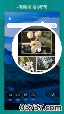 必应搜索国际版app截图