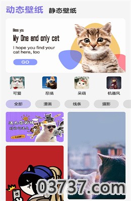 可爱喵喵壁纸大全app最新版截图