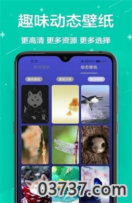 主题君app安卓版截图