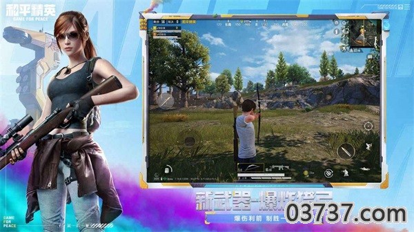 极热国际服pubg画质助手截图