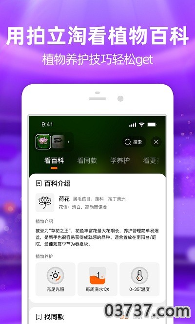 淘宝双11预售截图