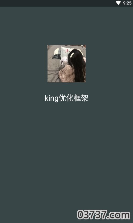 king优化框架截图