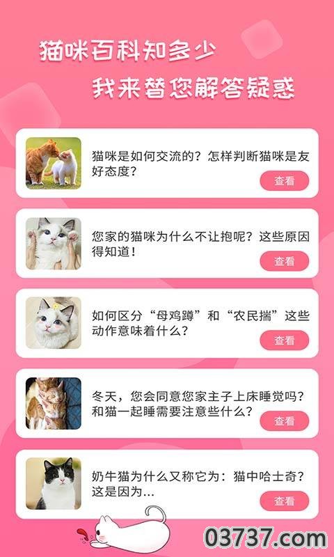 人猫翻译神器截图