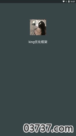 king优化框架2023截图