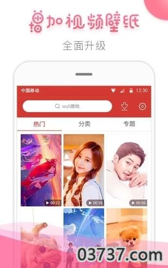 桔子壁纸2023截图