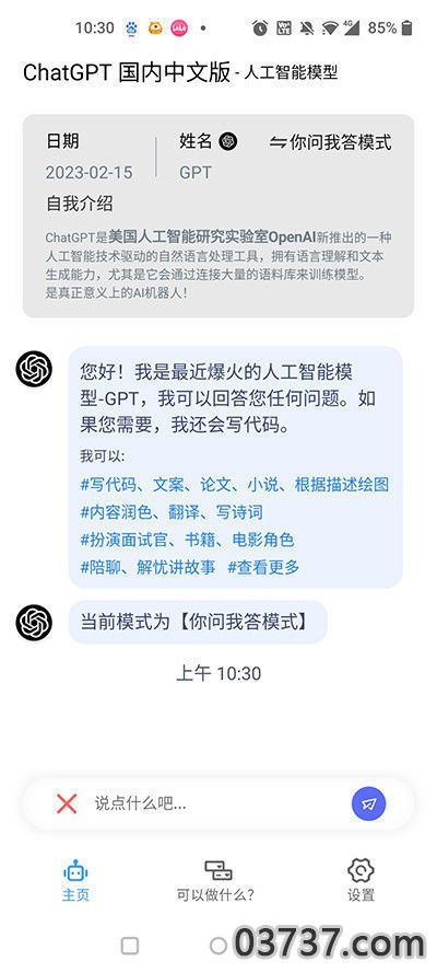 chat gpt中文版截图