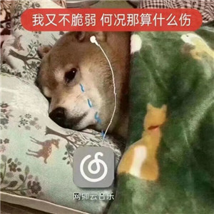 网抑云的梗1.jpg