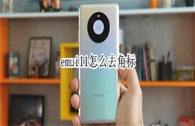 华为mate40手机EMUI 11系统怎么隐藏角标？EMUI 11角标隐藏方法