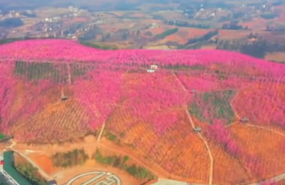 五一赏花圣地有哪些？五一全国赏花地图推荐