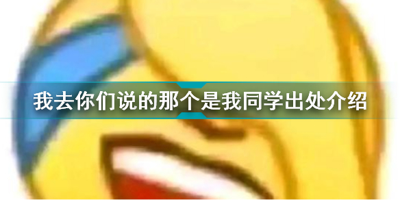 我去你们说的那个是我xx是什么梗_我去你们说的那个是我xx有什么含义吗