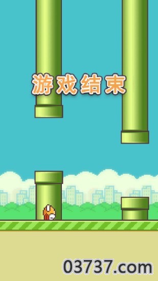 flappy bird木糖改版截图