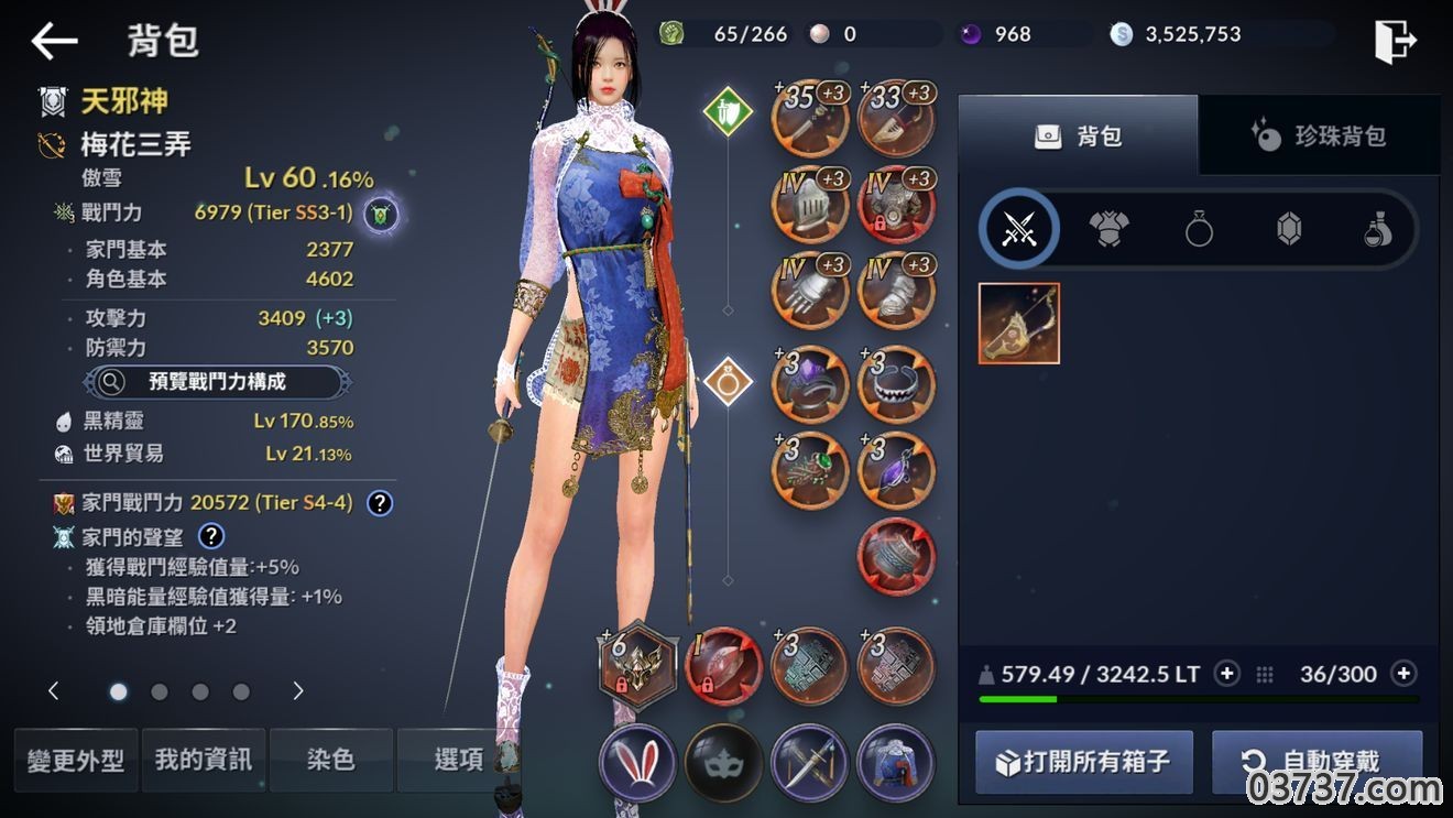 Black Desert mobile台服版截图