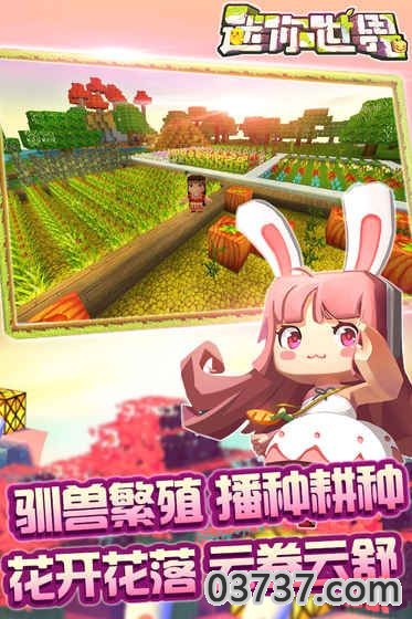 迷你世界miniworld24.4截图