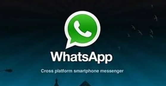 whatsapp国内怎么使用 whatsapp国内使用方法