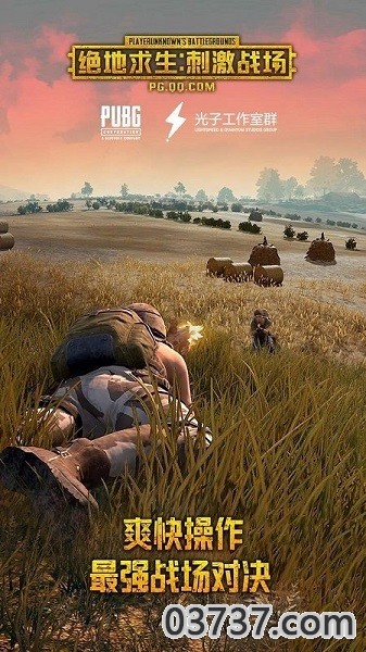 pubg mobile免广告截图