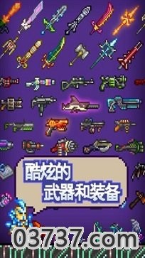 泰拉瑞亚1.4.3.2全物品存档截图