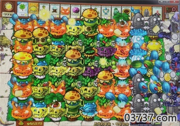 pvz杂交版截图